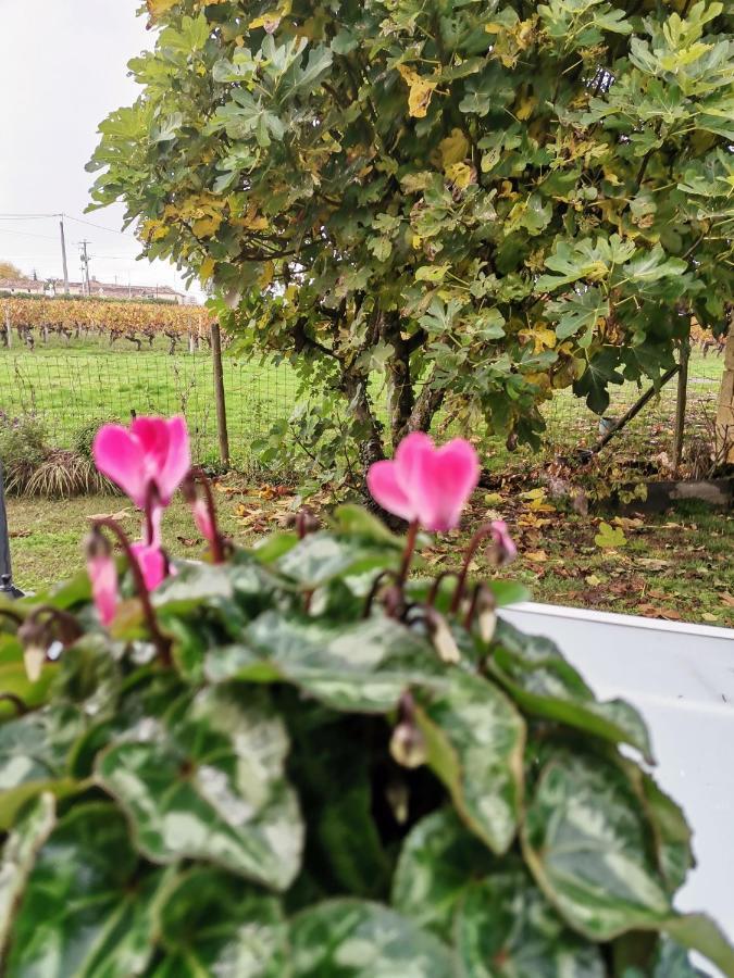 Gite " Suzon" A Peyroutas Vignonet St Emilion Zewnętrze zdjęcie
